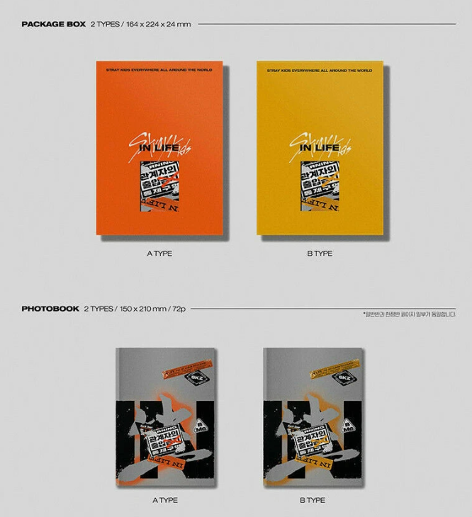 STRAY KIDS IN生/IN LIFE Repackage Album STANDARD RANDOM CD+P.Book+3 Card