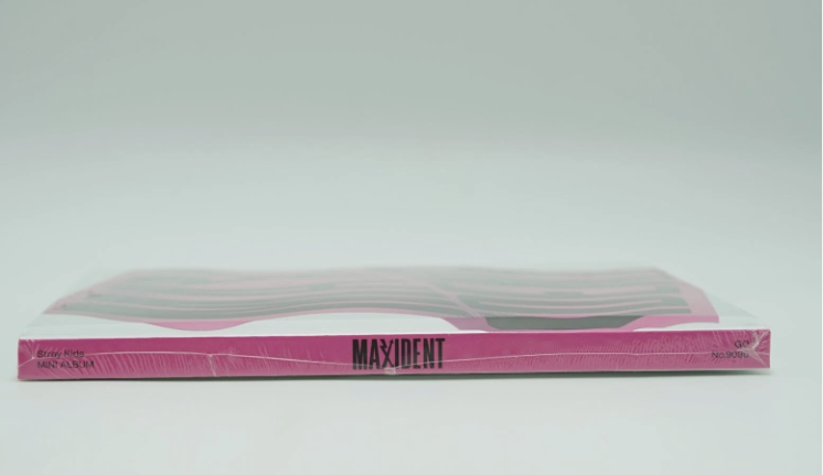Stray Kids Album - MAXIDENT GO ver. (Limited Edition)