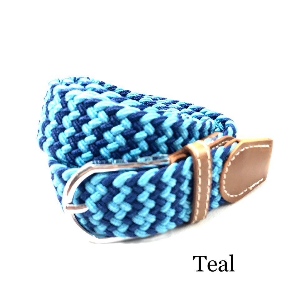 Mesh Belt
